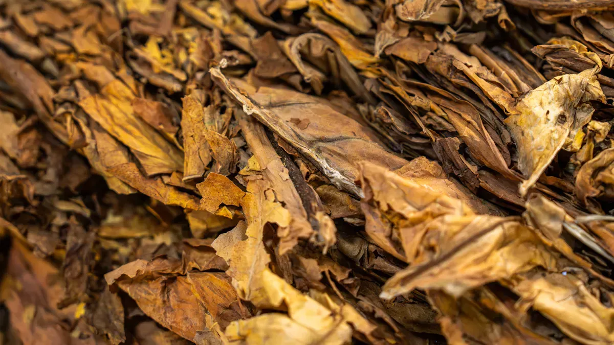 What Is Cigarette Paper Made Of: Main Materials